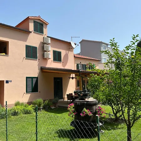 Basic Apartment