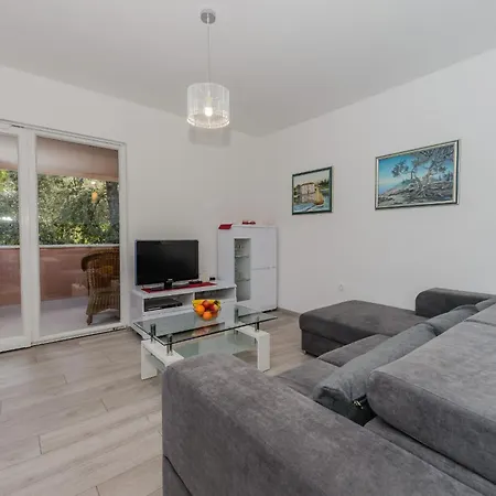 Basic Apartment